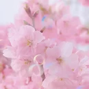 北京旅游 缩略图 3