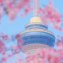北京旅游 缩略图 6