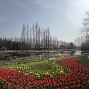 青岛旅游 缩略图 5