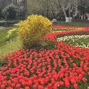青岛旅游 缩略图 1