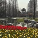 青岛旅游 缩略图 9