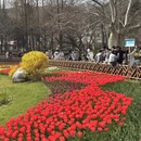 青岛旅游 缩略图 6