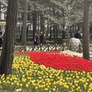 青岛旅游 缩略图 7