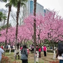 武汉旅游 缩略图 6