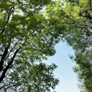 成都旅游 缩略图 2