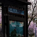 成都旅游 缩略图 4
