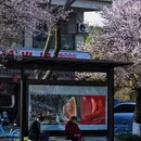 成都旅游 缩略图 3