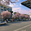 成都旅游 缩略图 7