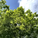 成都旅游 缩略图 6