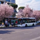 成都旅游 缩略图 6