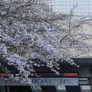 无锡旅游 缩略图 4