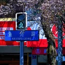 成都旅游 缩略图 5