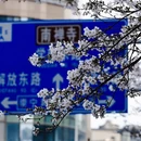 无锡旅游 缩略图 6