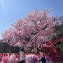 大连旅游 缩略图 4
