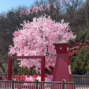 大连旅游 缩略图 1