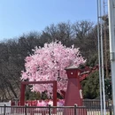 大连旅游 缩略图 3