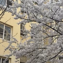 青岛旅游 缩略图 3