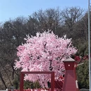 大连旅游 缩略图 2
