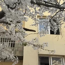 青岛旅游 缩略图 10