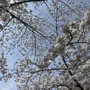 青岛旅游 缩略图 11