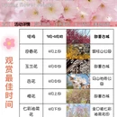 青岛旅游 缩略图 2