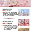 青岛旅游 缩略图 4