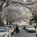 青岛旅游 缩略图 2