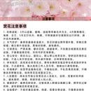 青岛旅游 缩略图 5