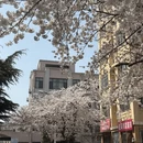 青岛旅游 缩略图 6