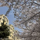 青岛旅游 缩略图 5