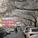 青岛旅游 缩略图 8