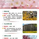 青岛旅游 缩略图 3