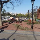 上海旅游 缩略图 3