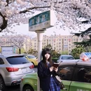 青岛旅游 缩略图 3