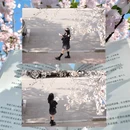青岛旅游 缩略图 5