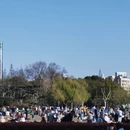 上海旅游 缩略图 8