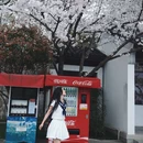 南京旅游 缩略图 1