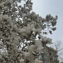 烟台旅游 缩略图 9