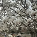 烟台旅游 缩略图 14