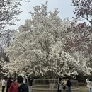 烟台旅游 缩略图 18