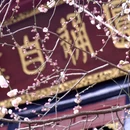 成都旅游 缩略图 5