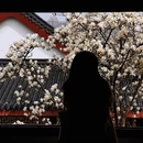 武汉旅游 缩略图 5