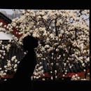 武汉旅游 缩略图 4