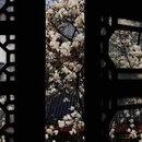 武汉旅游 缩略图 8