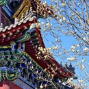 沈阳旅游 缩略图 1