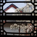 武汉旅游 缩略图 7