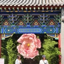 沈阳旅游 缩略图 7