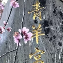 成都旅游 缩略图 6
