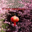 成都旅游 缩略图 9