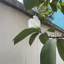 成都旅游 缩略图 4